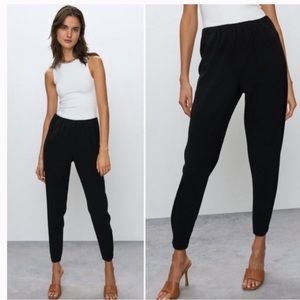 Aritzia Babaton Dexter Pant, XS